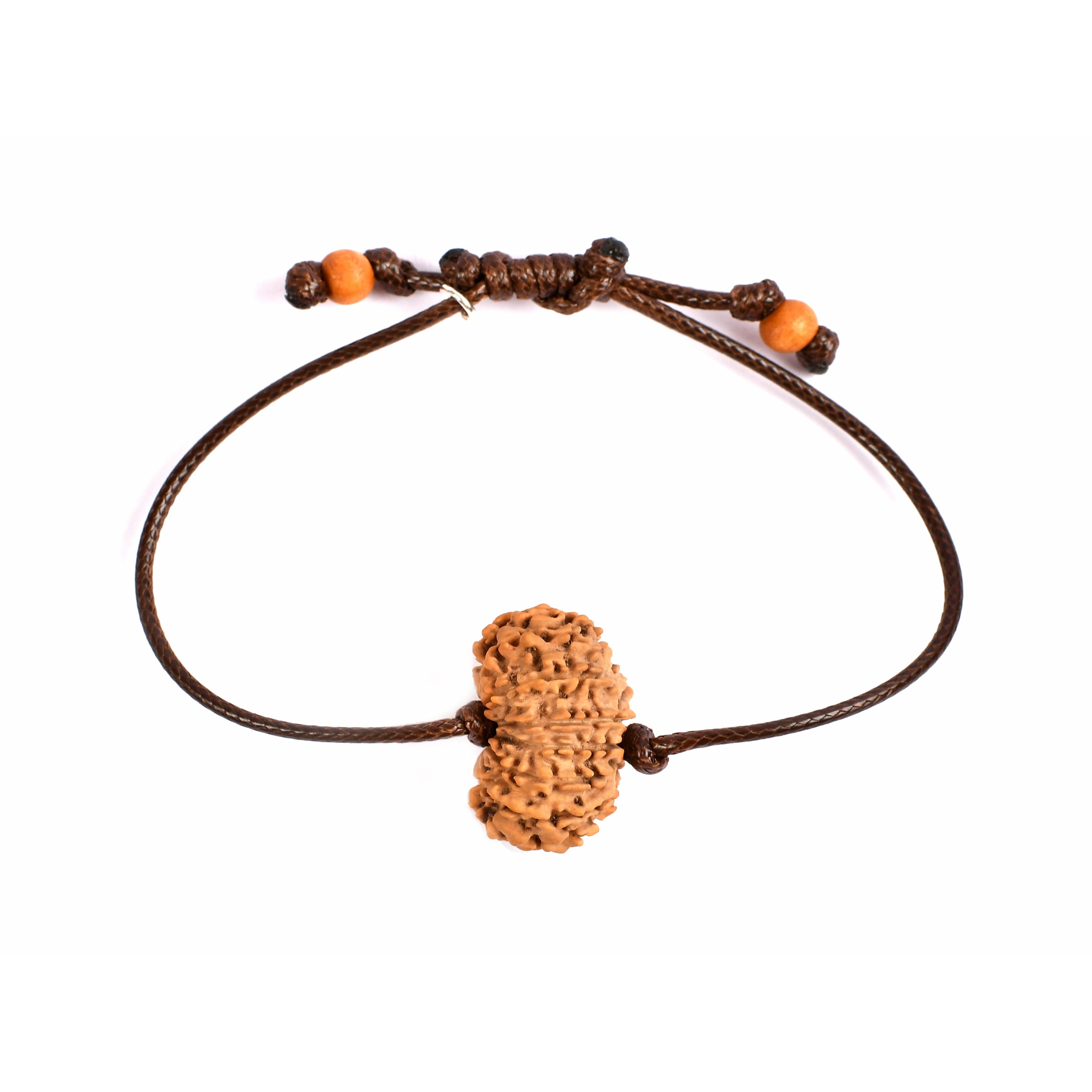 14-Augen-Rudraksha (Nepal)